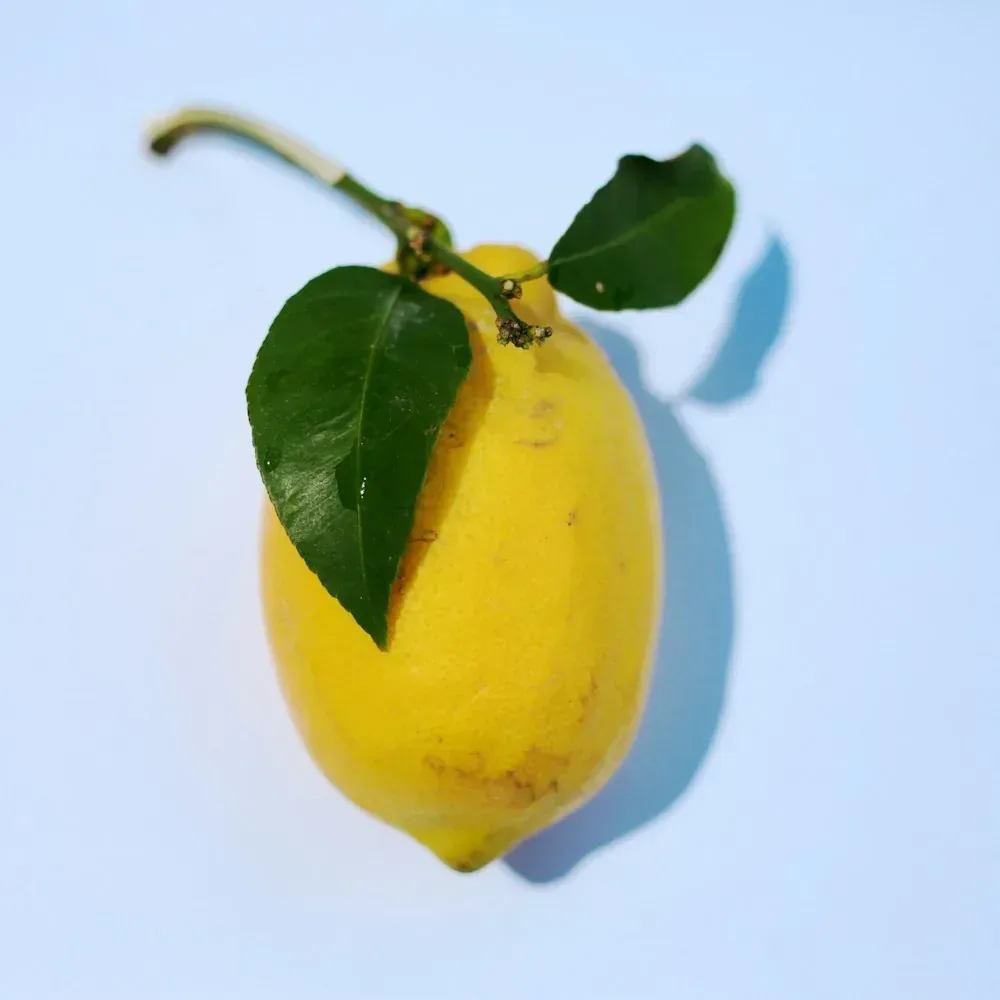 أترج
