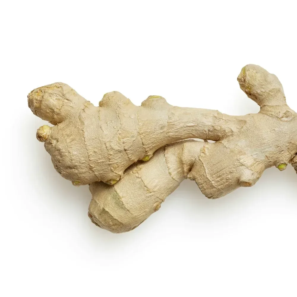 زنجبيل